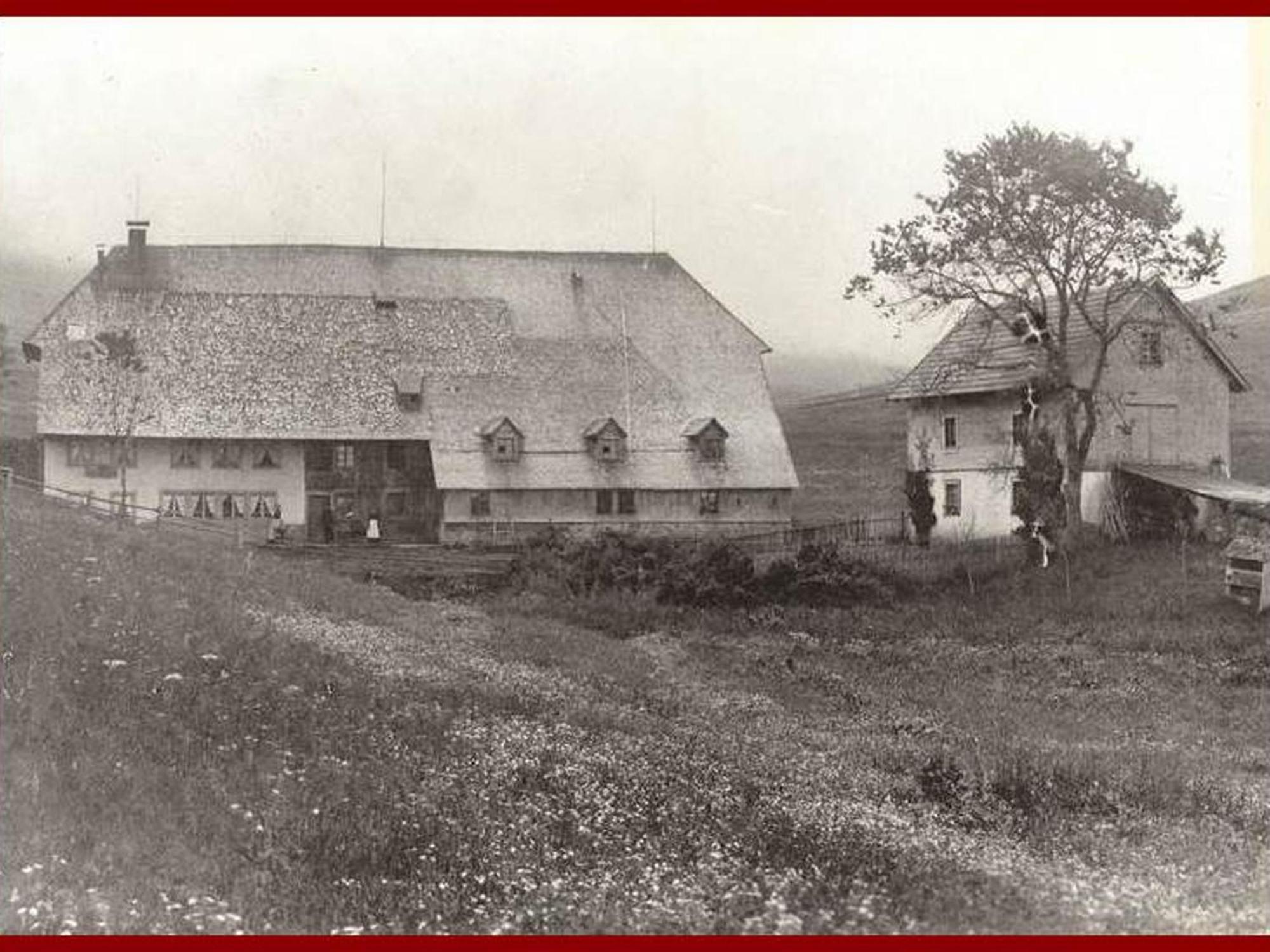 Farm stay Biobetrieb Lippenhof *