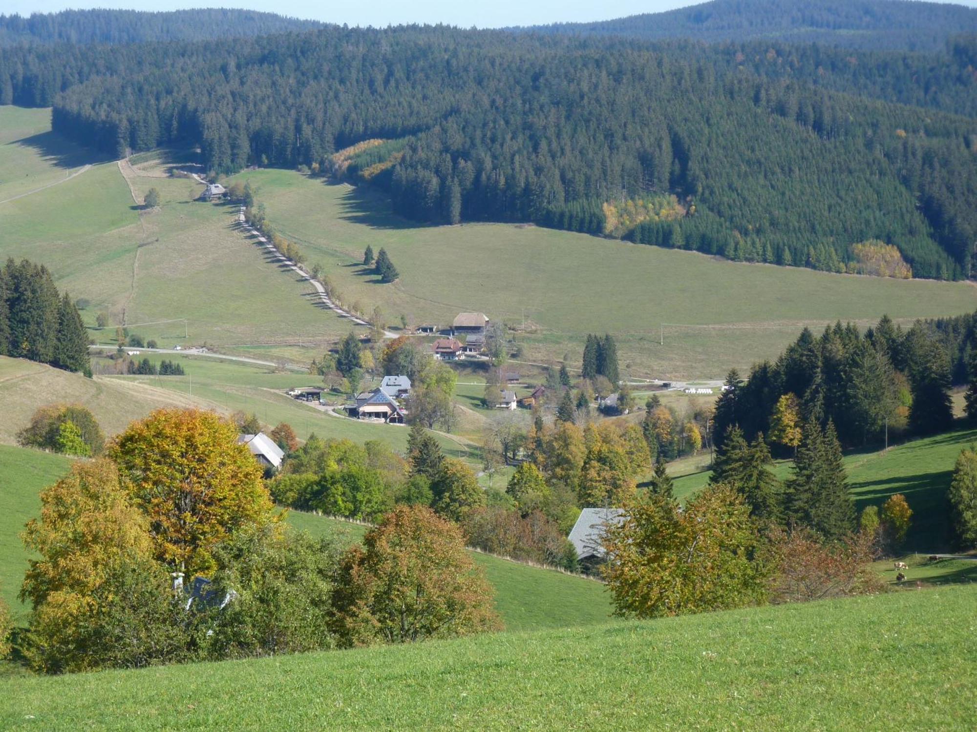 Biobetrieb Lippenhof * Breitnau