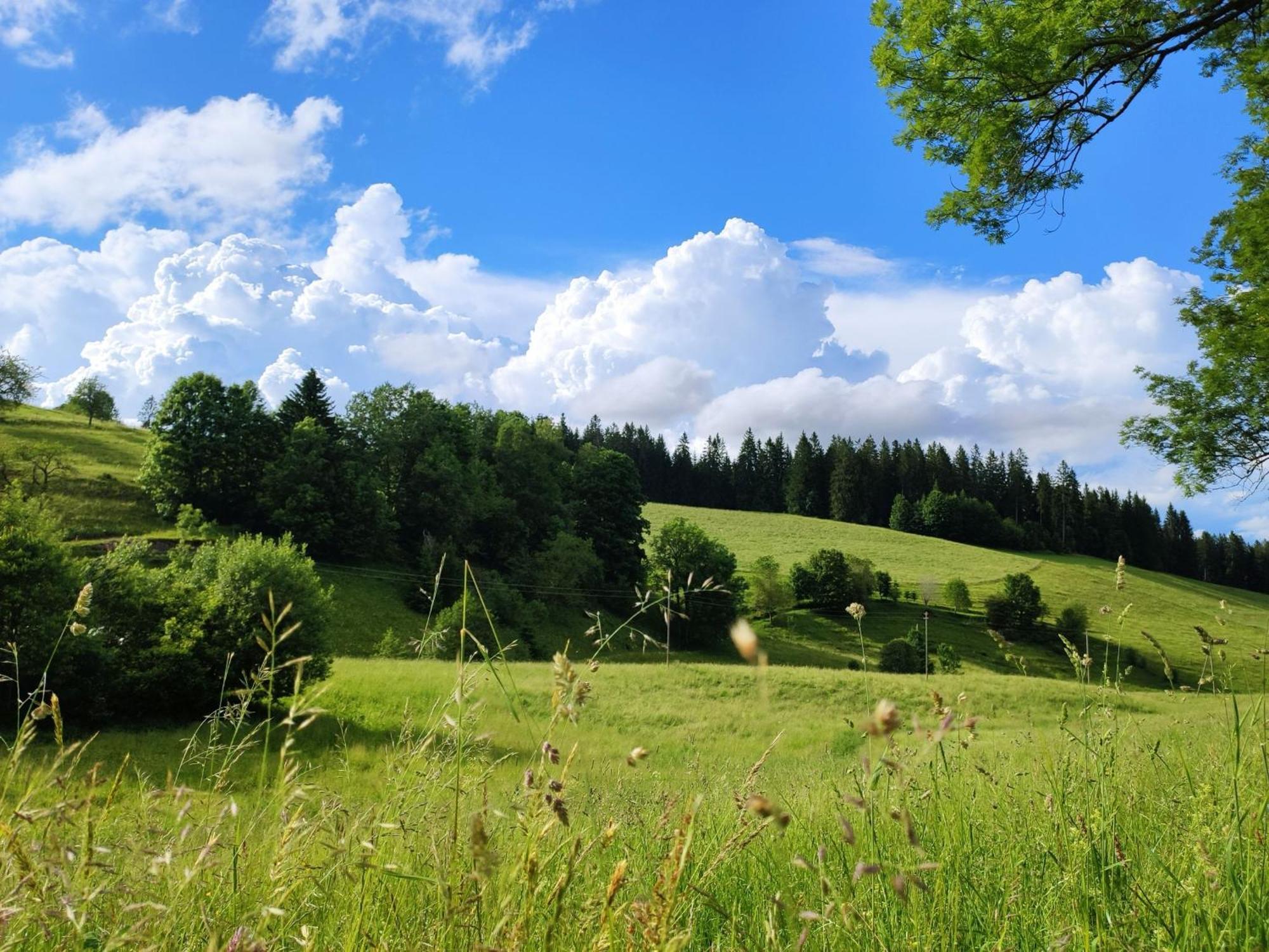 Farm stay Biobetrieb Lippenhof Breitnau