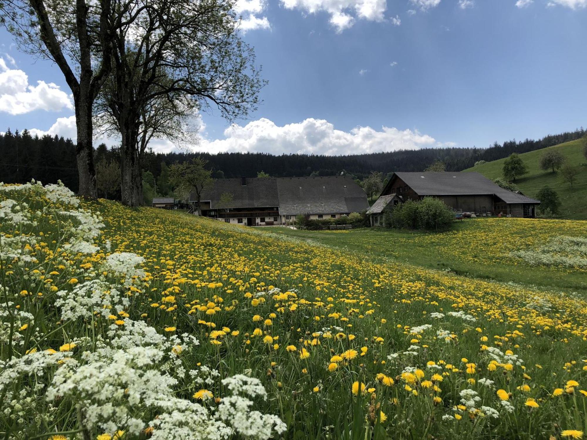 Biobetrieb Lippenhof Farm stay